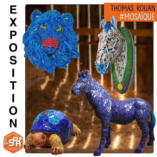 exposition thomte as rouan mosaïste SPA grand refuge Pervenchères