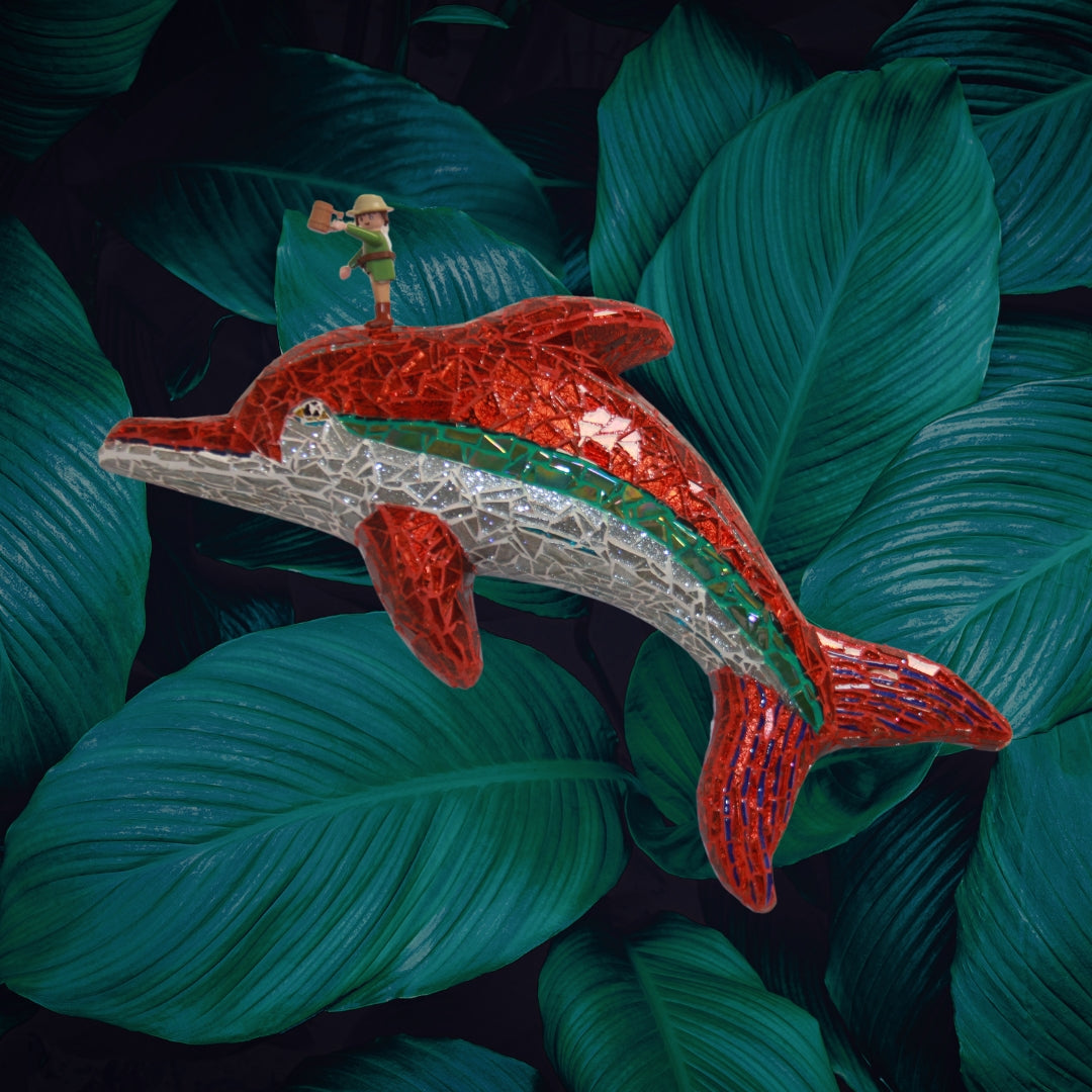 Flying dolphin